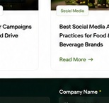 Influencer campaign strategy