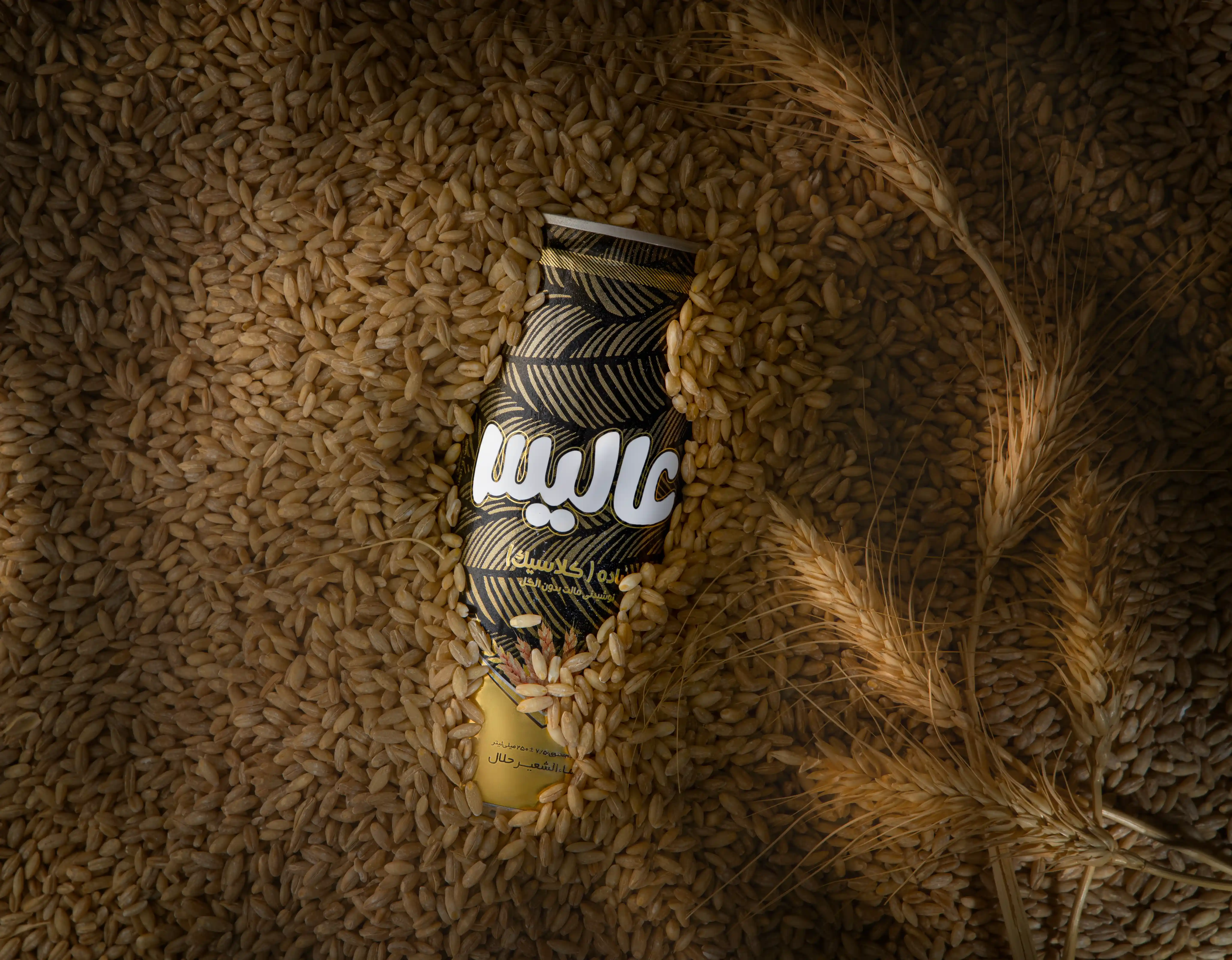 Commercial & Product Photography - foodex digital